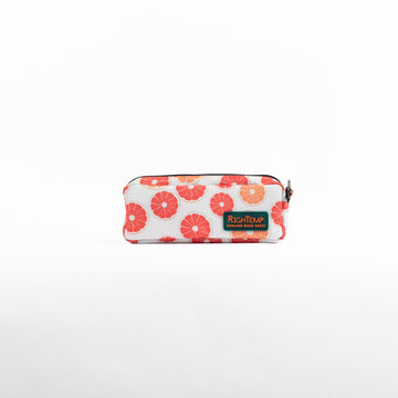 Orange slices Insulin Bag